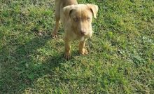 Ruyada Anne Baba Gormek Ruyada Anne Ile Konusmak Tartismak Olmus Anne Baba Gormek Hac Umre Haberleri Ruyada Anne Baba Gormek Ruyada Anne Ile Konusmak Tartismak Olmus Anne Baba Gormek Hac Umre Haberleri