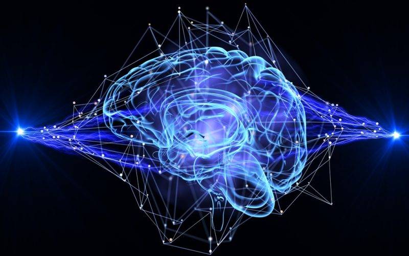 Beyin Fonksiyonunu Anlama Konusunda Yardımcı