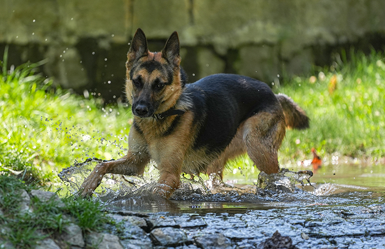 Yurt Genelinde Kavurucu Sıcak Hayatı Olumsuz Etkiliyor (2)