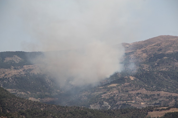 Çorum Ve Malatya'da Çıkan Orman Yangınlarına Müdahale Ediliyor 2